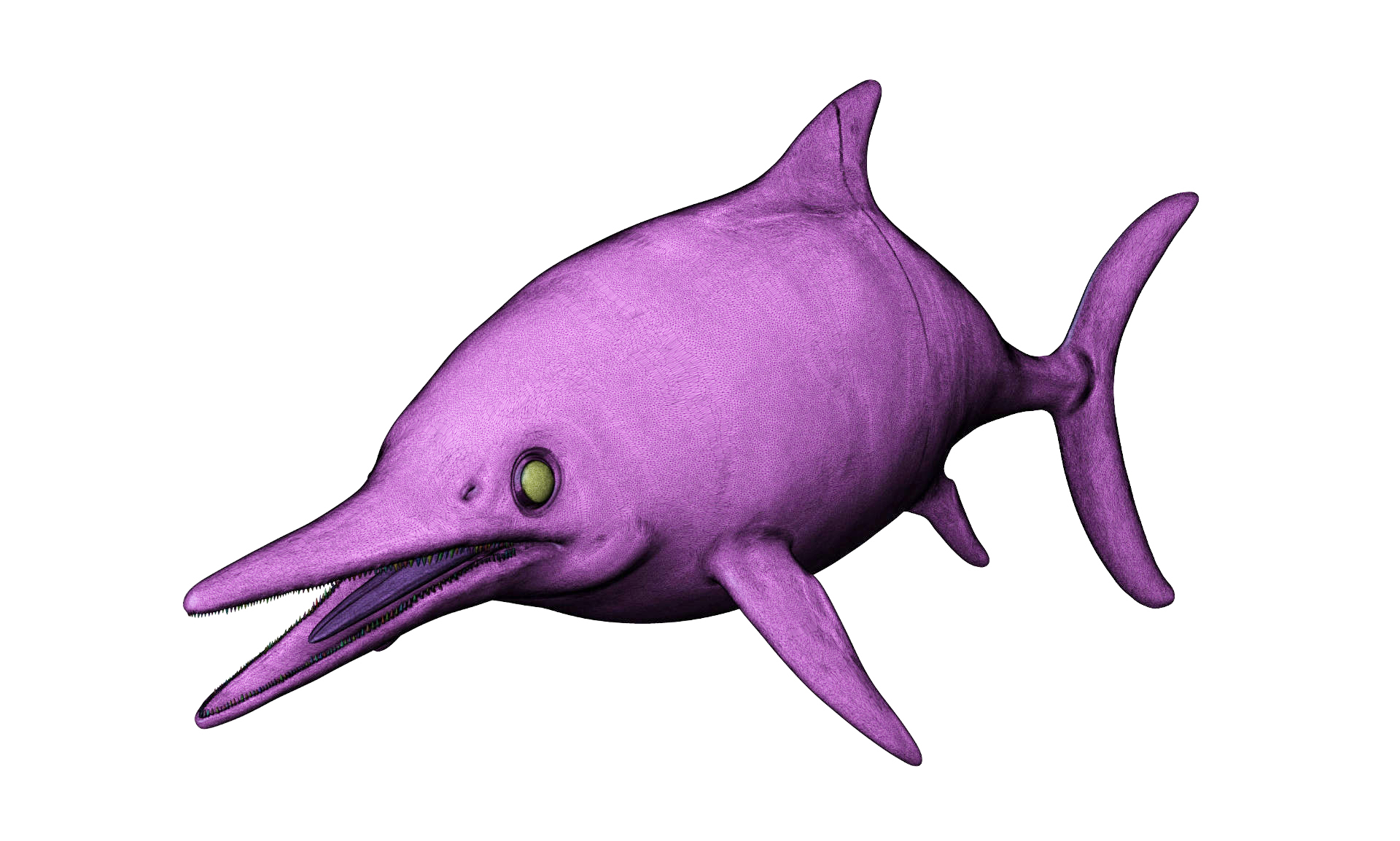 Ichthyosaur - Stenopterygius megacephalus