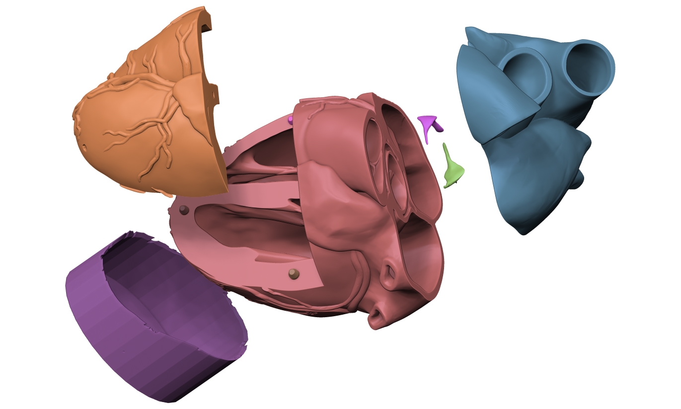 Capricorn heart with heart bone