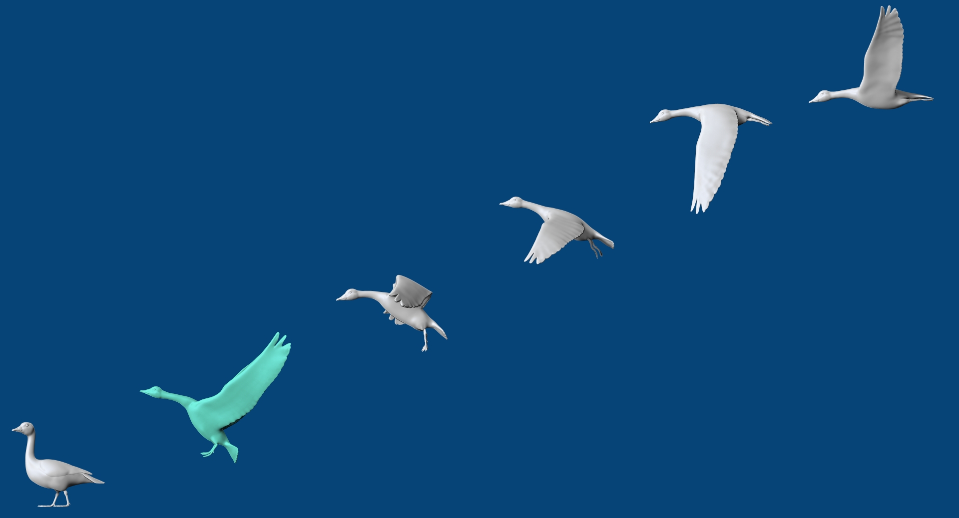 abstract geese in 6 poses