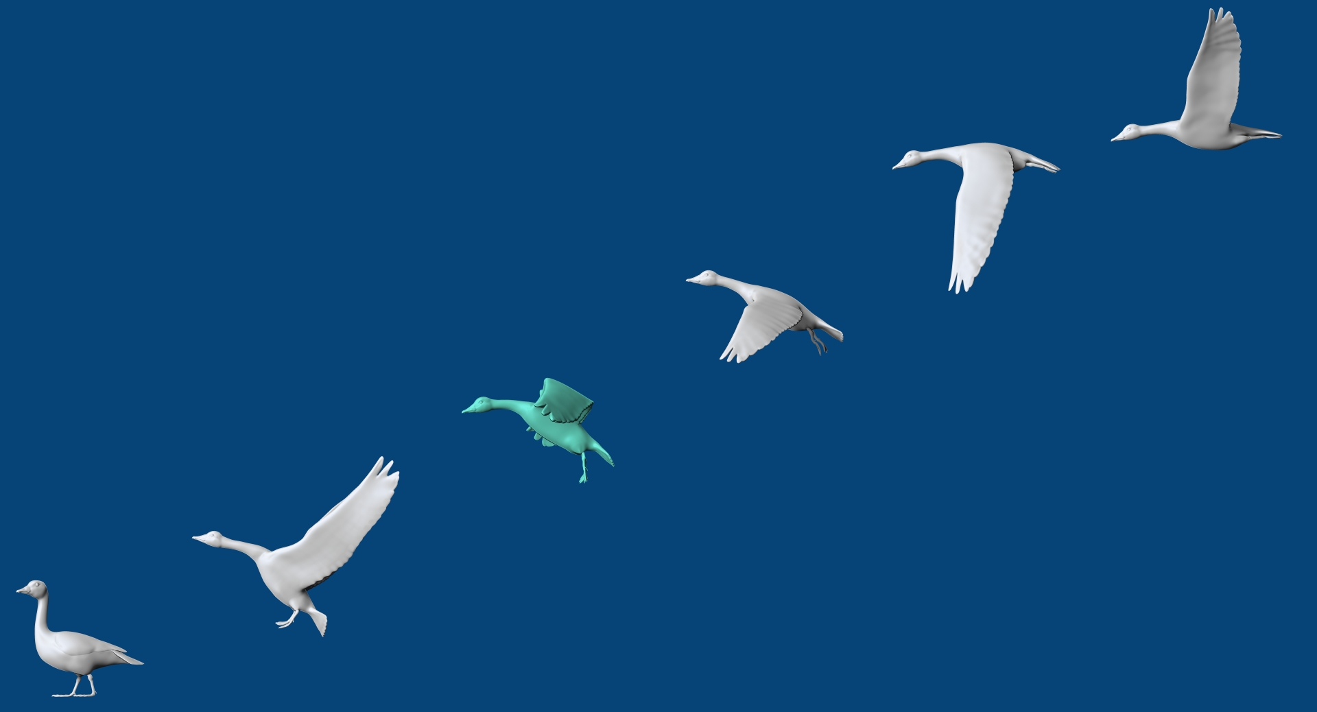 abstract geese in 6 poses
