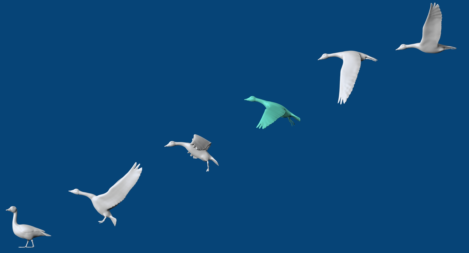 abstract geese in 6 poses