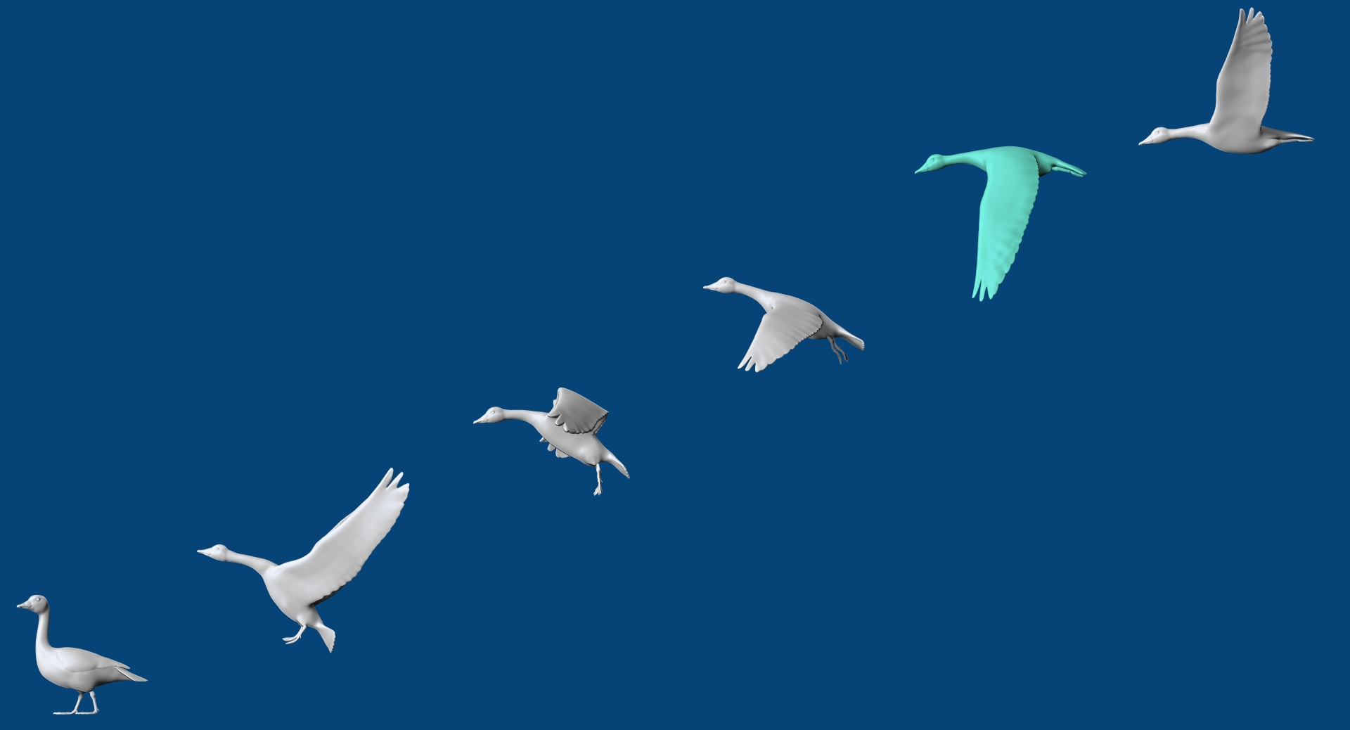 abstract geese in 6 poses