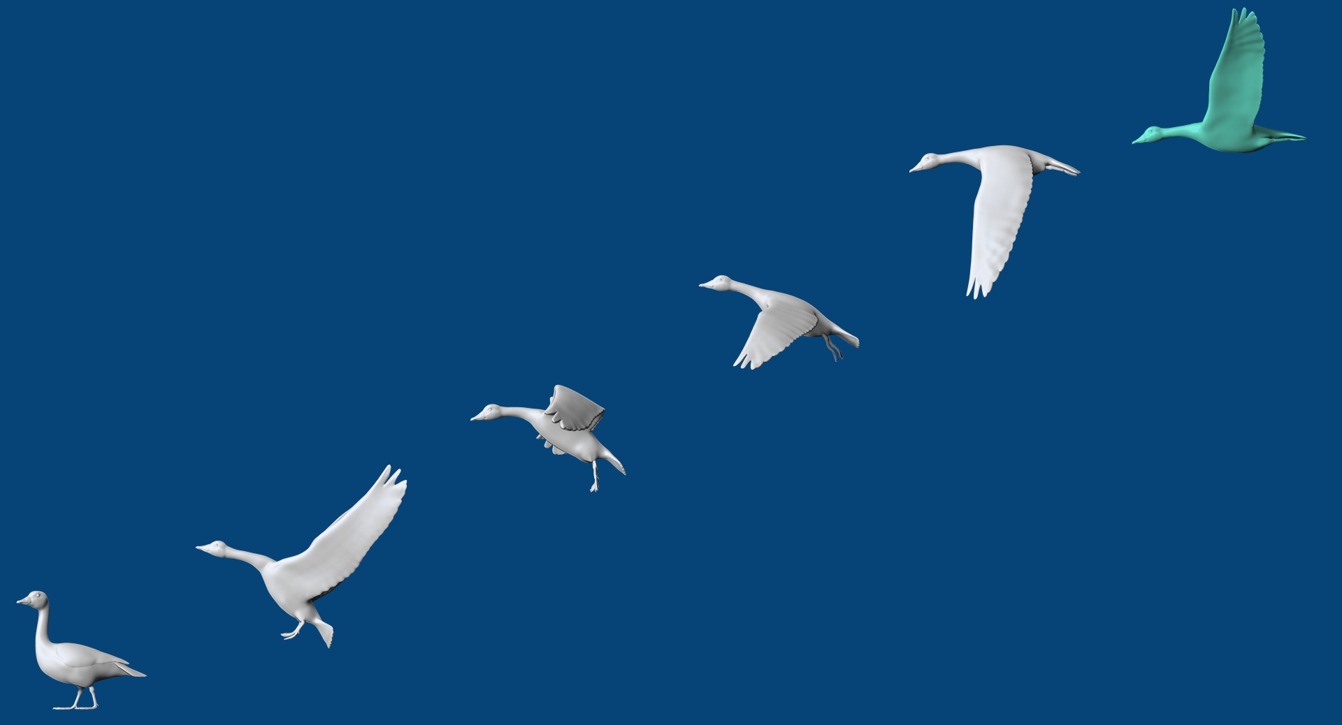 abstract geese in 6 poses
